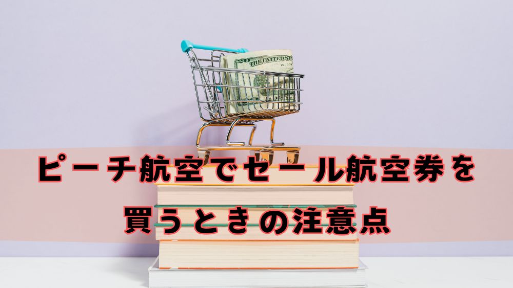 ピーチ航空でセール航空券を買うときの注意点